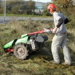 Meadow Management