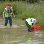 Pond Planting